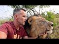 Naughty LION Bites The Lion Whisperer
