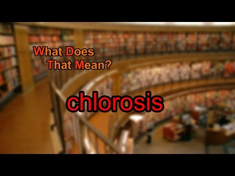 氯化物中毒是什麼意思？ (What does chlorosis mean?)