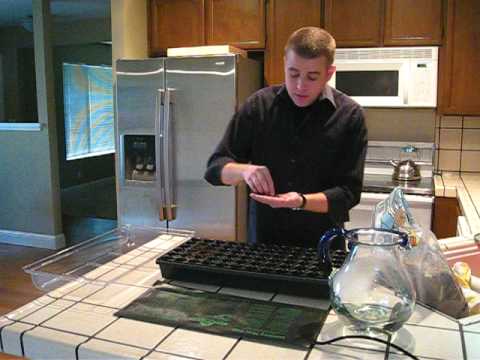 Planting Milkweed Seeds - Part 1