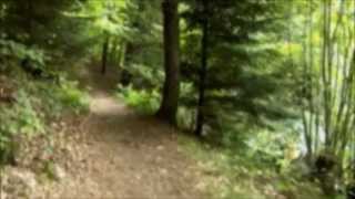 Don't Just Do Something