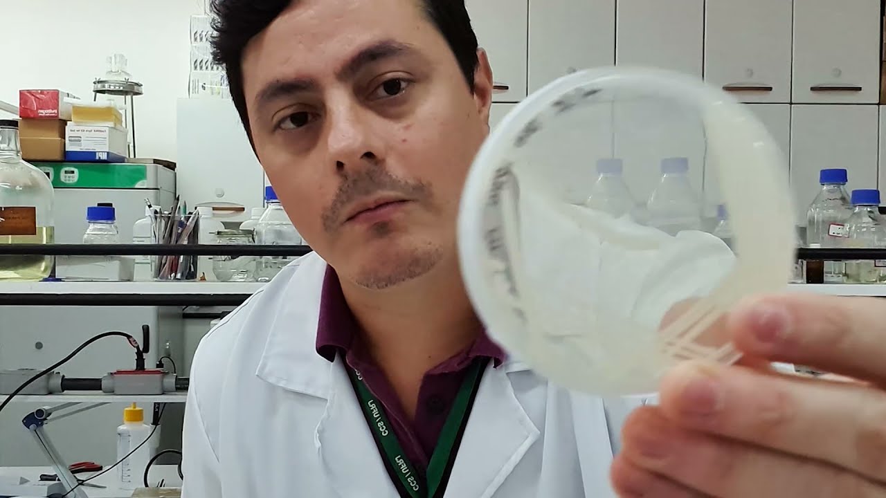 Aula Pratica 5 - Técnicas de isolamento de microrganismos: esgotamento e obtenção de cultura pura