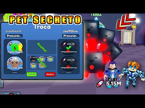 HACKER ME DASAFIOU MAIS ELE NÃO ESPERAVA QUE O JEFFBLOX IRIA ME MANDAR O PET MAIS FORTE DO FLY RACE