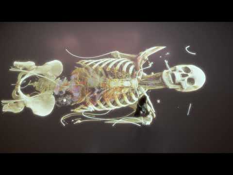 Deep Space EVOLUTION 2022 - Anatomy