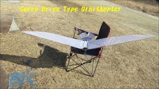 Servo drive type ornithopter 1  Test Flight