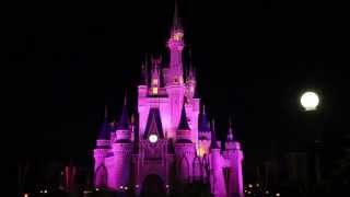 Celebrate the Magic summer edition