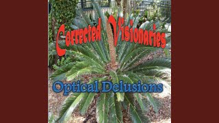 Corrected Visionaries