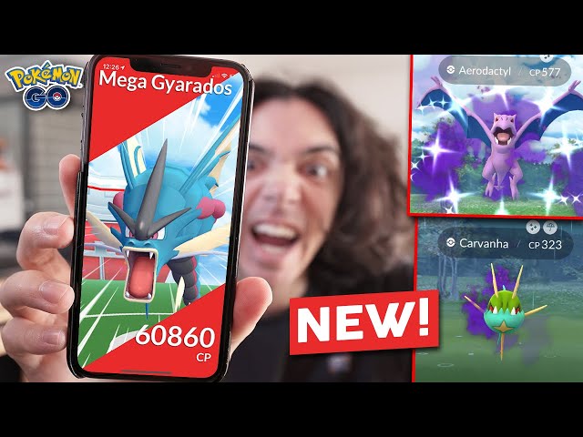 How To Beat Persian In Pokemon Go