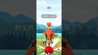 遇見極低機率的伽勒爾閃電鳥!可惜。。。#pokemongo#galarianzapdos #shorts#ultragoo#game