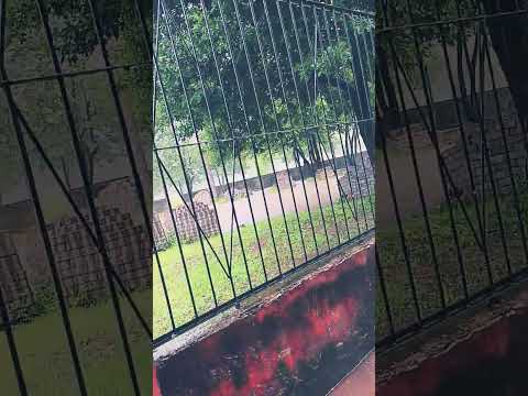 bella vista Tucumán