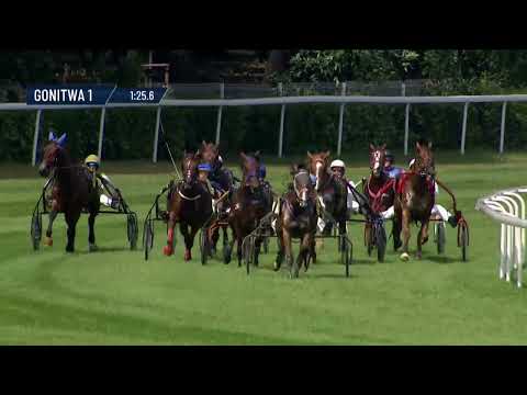 Dzień 17 - (30.06.2024) Tor Służewiec