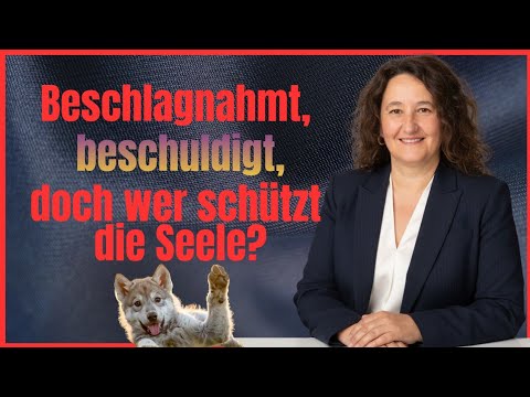 Beschlagnahmt, beschuldigt, doch wer schützt die Seele?| Beschlagnahmung| Beschlagnahmung  hund