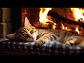 24 Hrs Purring Cat With Cozy Fireplace No Ads You Will Relax And Fall Asleep Instantly