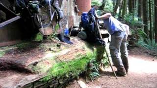 preview picture of video 'West Coast Trail: Donkey Engine Near Port Renfrew'