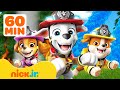 Best PAW Patrol Fire Rescue Moments 60 Minutes Nick Jr