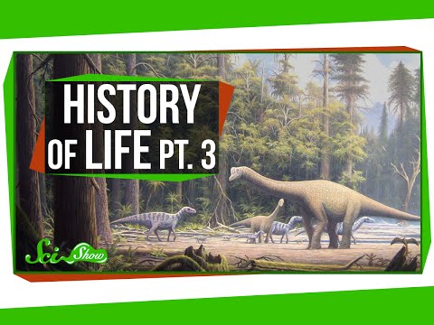 人生简史：恐龙时代！（A Brief History of Life: Dinosaur Time!）