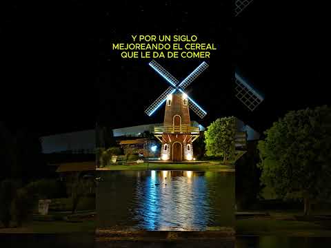 De acá sale el pan de miles de mesas argentinas