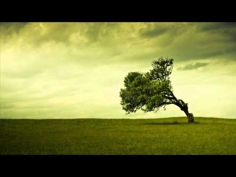 Navi G. - Take Me Away (Original﻿ Dubstep Mix)