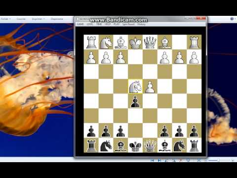 Čuvajte se otkrivenog dvostrukog šaha -  DIEMER vs NN # 159 sah i mat