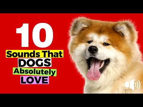10 DOG SOUNDS That Dogs Absolutely LOVE