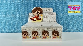 Harry Potter Magical Creatures Pop Mart Figure Unboxing | PSToyReviews