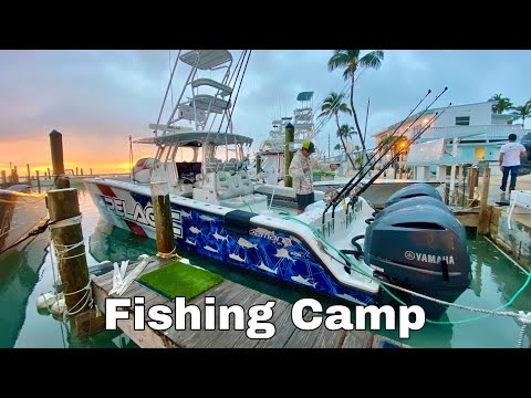 Fishing Secrets? December 2020 STANZ Swordfish Camp (Grouper - Catch and Cook)