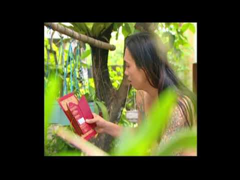 Wraspati Umanis Karaoke  ( HD ) Voc Mang Gita