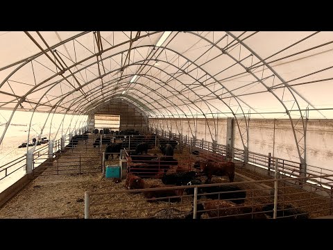 120 Head Cow-Calf Facility (Customer Testimonial)