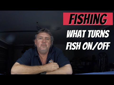 When is a good time to go fishing / Offshore and Inshore