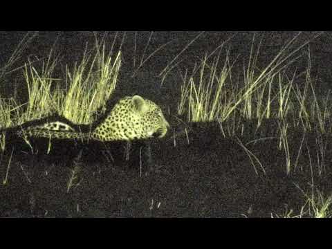 Djuma: Hosana  - 22:58 - 07/29/18