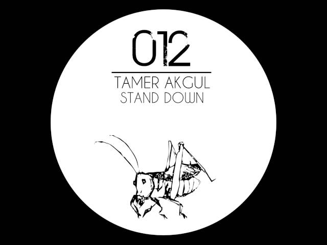Tamer Akgul - Move On
