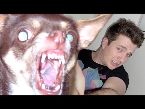 Prvih 24 SATA sa Novim PSOM! *krenulo naopako*