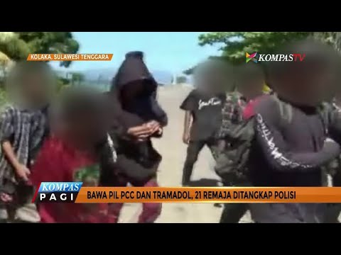 Jika anggota kepala jerawat kecil Bir telur potensi peningkatan