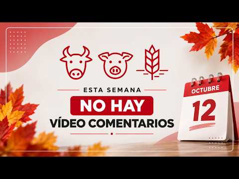 No hay vídeo comentarios
