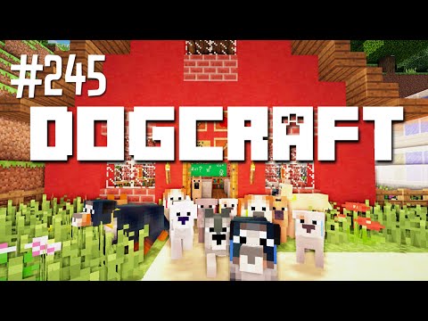 Back to School | Dogcraft (Ep.245)