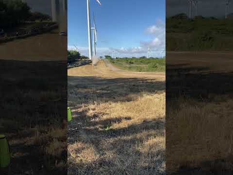 WRC “Rally Italia Sardegna 2024” day 2 tula-Erula Ford fiesta rally 1 Fourmax-Coria #rally #flatout