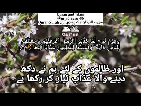 Quran Surah 25| surah al furqan ayat 35-40| surah al furqan | surah furqan | سورتہ الفرقان #Quran