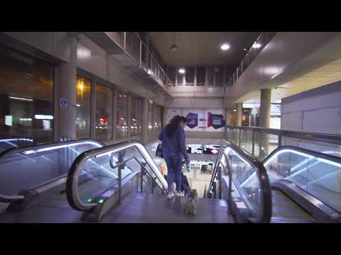 Espanha, Madri, viagem de metrô da Avda. de América até Cruz del Rayo, escada rolante 8X