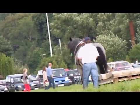 Tah - 29. Formanský den