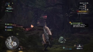 1 MHW