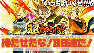 [ドッカンバトル][実況]超サイヤ人ゴジータ狙い!超ドッカンフェス80連!「いっちょいくぜ!」
