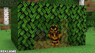 Video thumbnail image