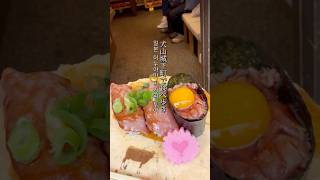 【一時帰国Vlog🇯🇵】愛知県おすすめの観光地・犬山城下町🐶🏯