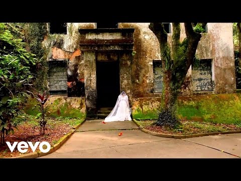 Navio video