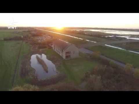 Spectacular wetland sunset aerial | WWT Welney