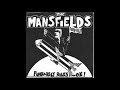 The Mansfields Punkabilly Rules OK 1996 Full Album