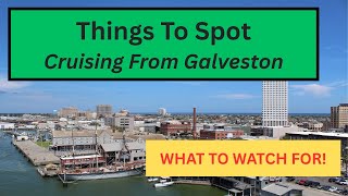 Galveston Cruises: Things To Spot From Your Ship!
