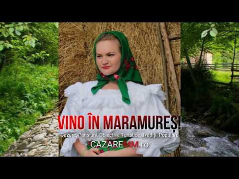 Pensiune Sieu Maramures, Baia Sprie Cazare, Cazare Ieftina Viseu De Sus