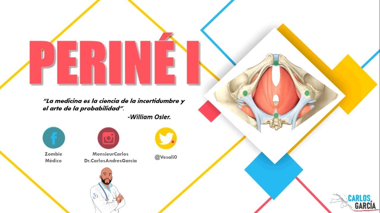 Anatomía - Periné Pt.  I (Generalidades, Fascias, Capas)