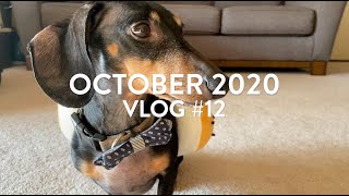 October 2020 - Vlog #12 - Thank you/Wingspan: Oceania Expansion