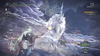 シリーズMHW ヘルプマンが行く！　その2 キリン戦